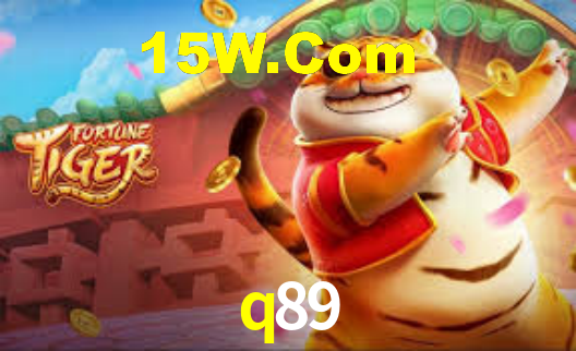 q89 - Installation Guide